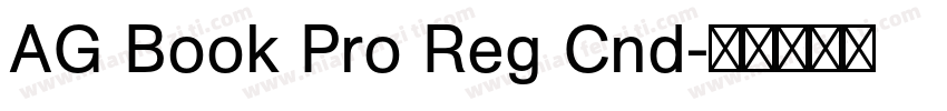AG Book Pro Reg Cnd字体转换